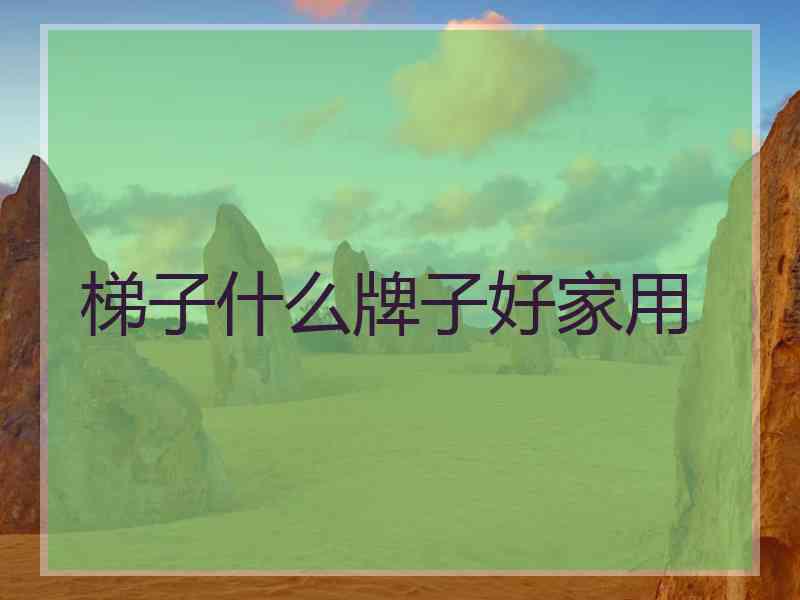 梯子什么牌子好家用 梯子什么牌子好家用