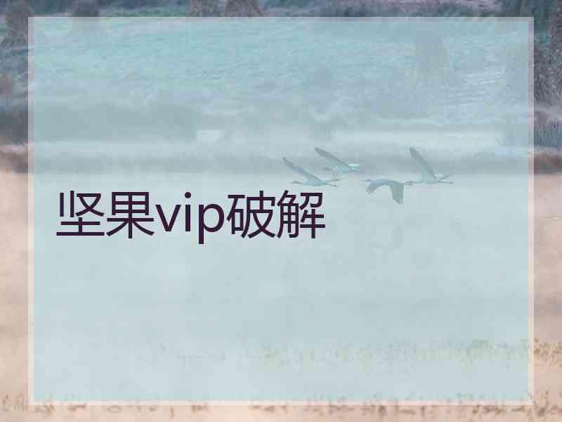 坚果vip破解 坚果vip破解