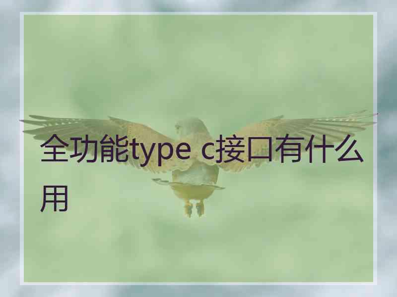 全功能type c接口有什么用 全功能type c接口有什么用