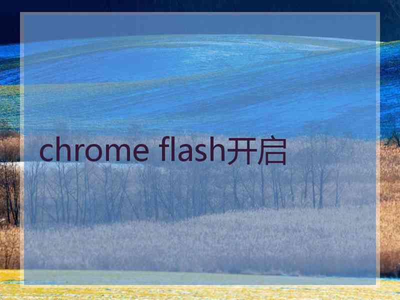 chrome flash开启 chrome flash开启