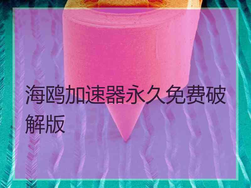 海鸥加速器永久免费破解版 海鸥加速器永久免费破解版