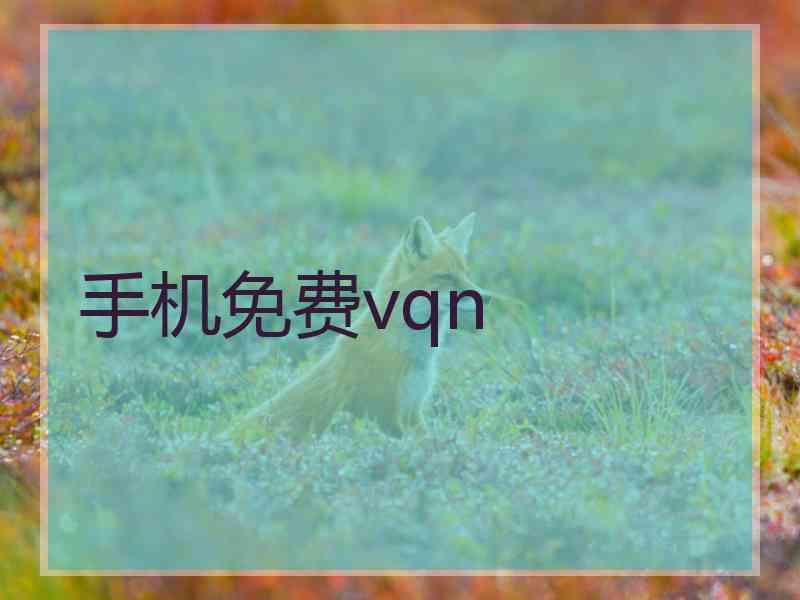 手机免费vqn 手机免费vqn