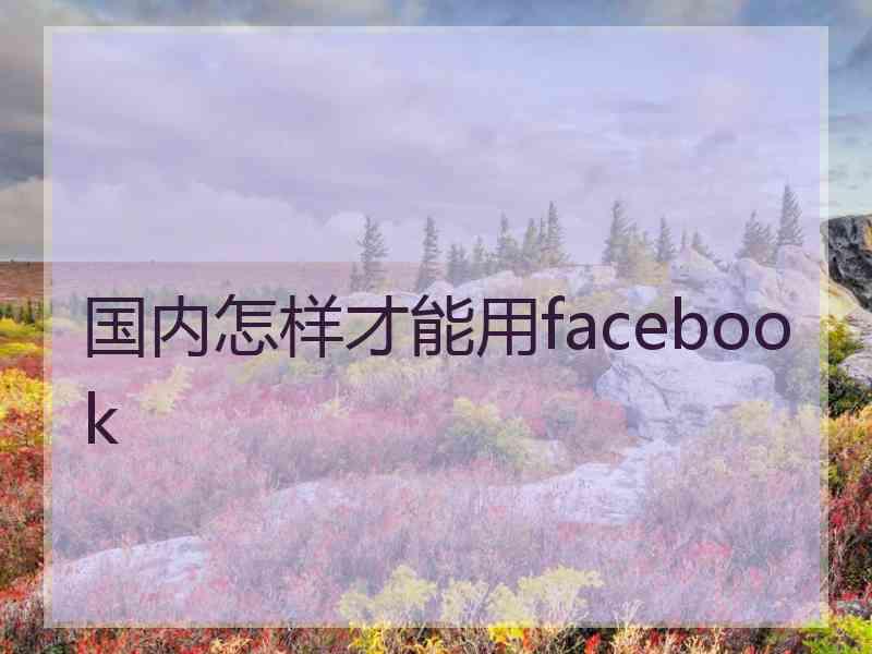 国内怎样才能用facebook 国内怎样才能用facebook