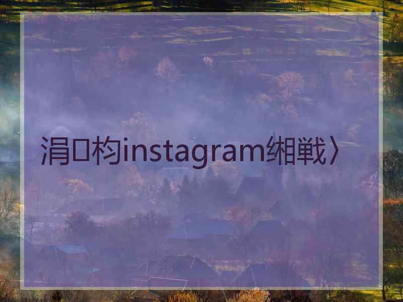 涓枃instagram缃戦〉 涓枃instagram缃戦〉