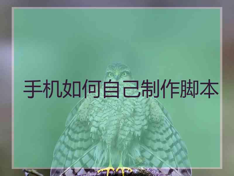 手机如何自己制作脚本 手机如何自己制作脚本