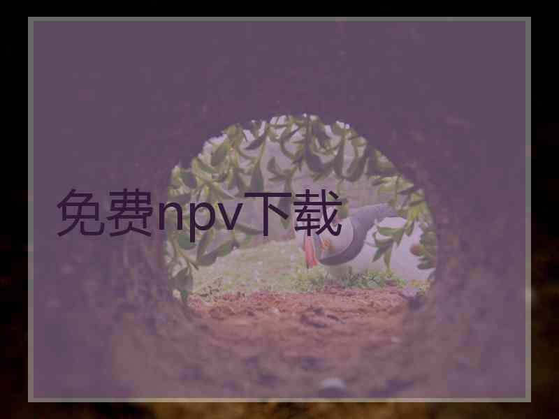 免费npv下载 免费npv下载