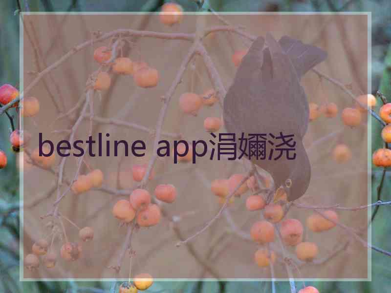 bestline app涓嬭浇 bestline app涓嬭浇