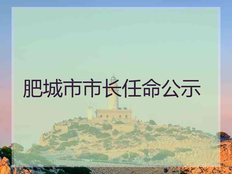 肥城市市长任命公示 肥城市市长任命公示