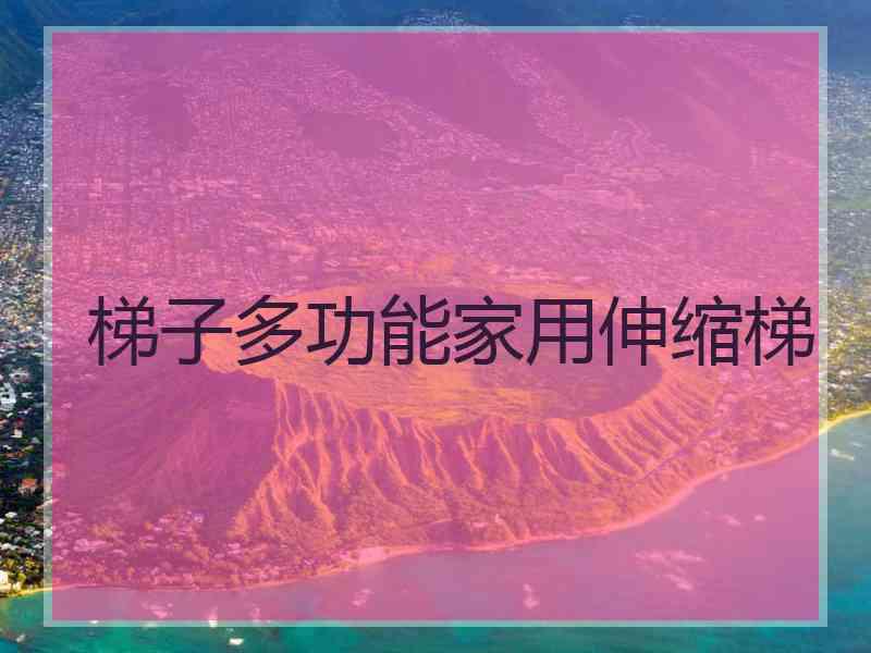 梯子多功能家用伸缩梯 梯子多功能家用伸缩梯