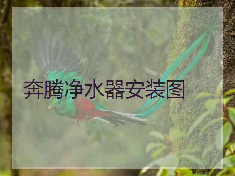 奔腾净水器安装图 奔腾净水器安装图