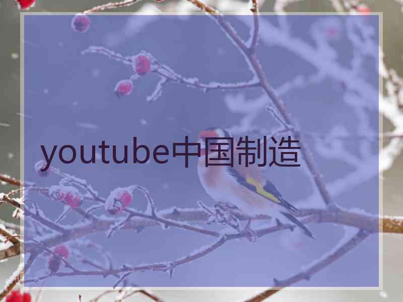 youtube中国制造 youtube中国制造