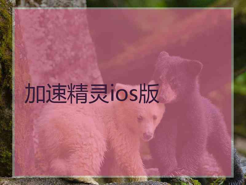 加速精灵ios版 加速精灵ios版