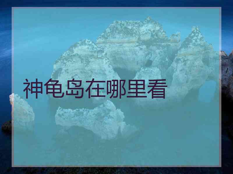 神龟岛在哪里看 神龟岛在哪里看