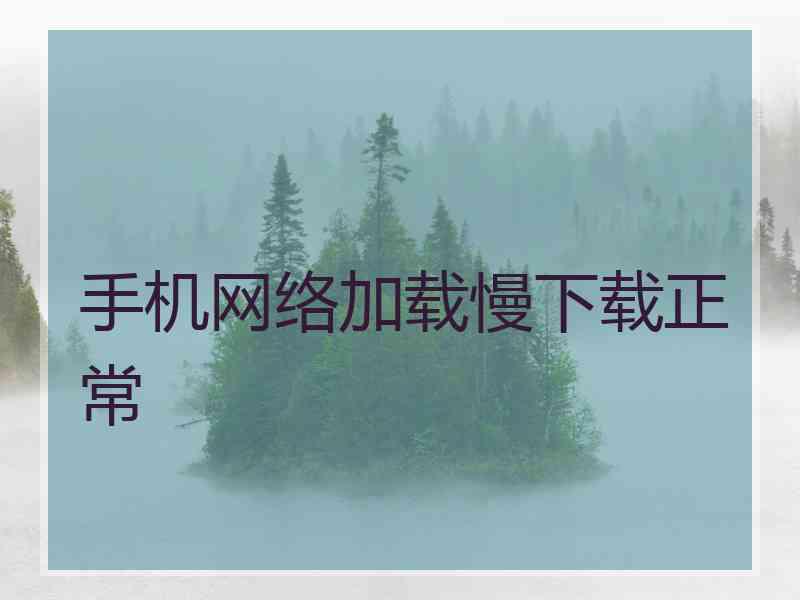 手机网络加载慢下载正常 手机网络加载慢下载正常