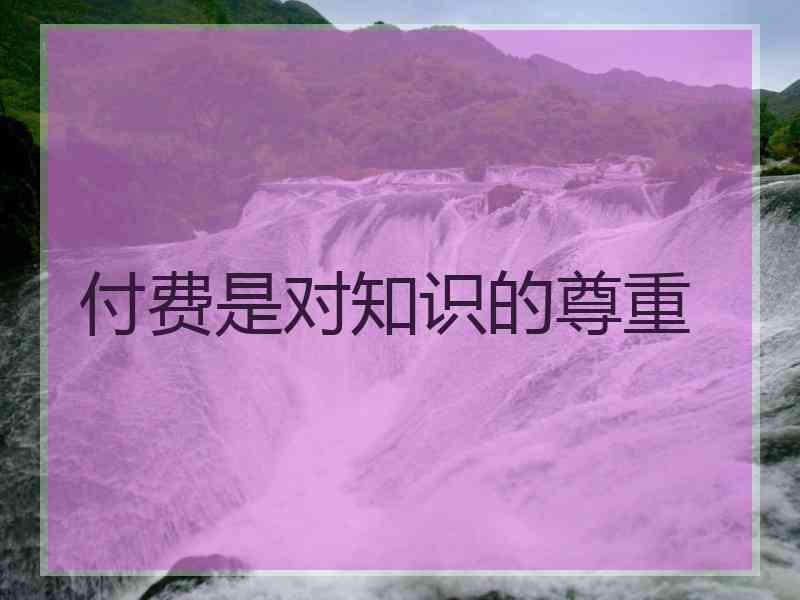 付费是对知识的尊重 付费是对知识的尊重