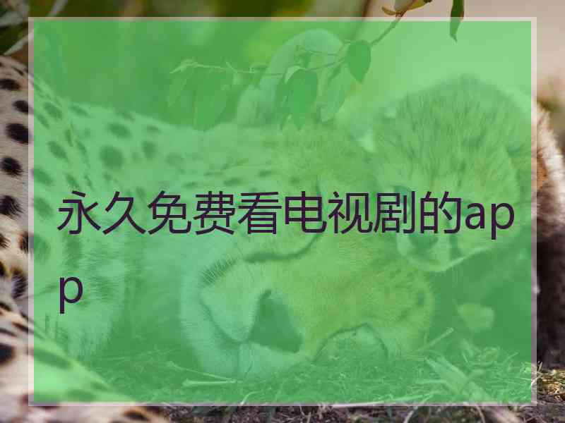 永久免费看电视剧的app 永久免费看电视剧的app