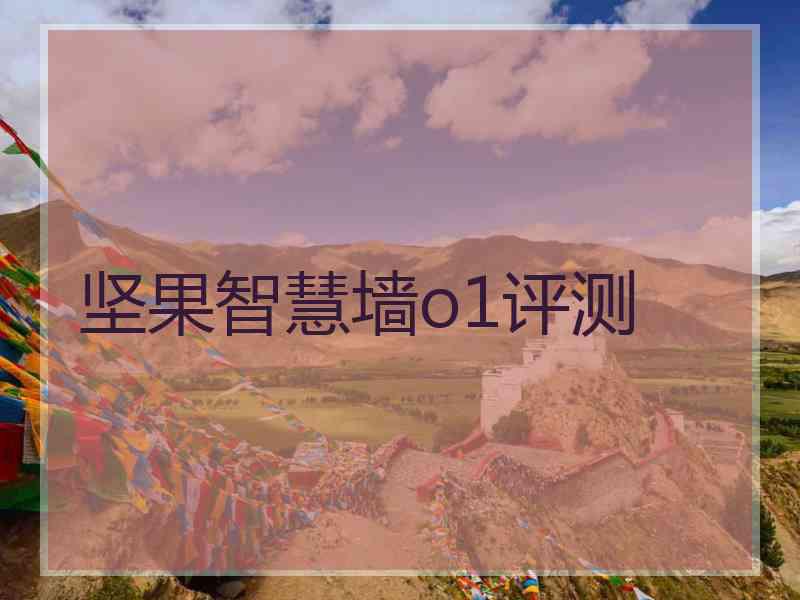 坚果智慧墙o1评测 坚果智慧墙o1评测