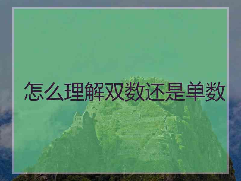 怎么理解双数还是单数 怎么理解双数还是单数