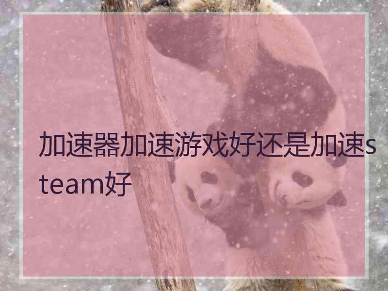 加速器加速游戏好还是加速steam好 加速器加速游戏好还是加速steam好