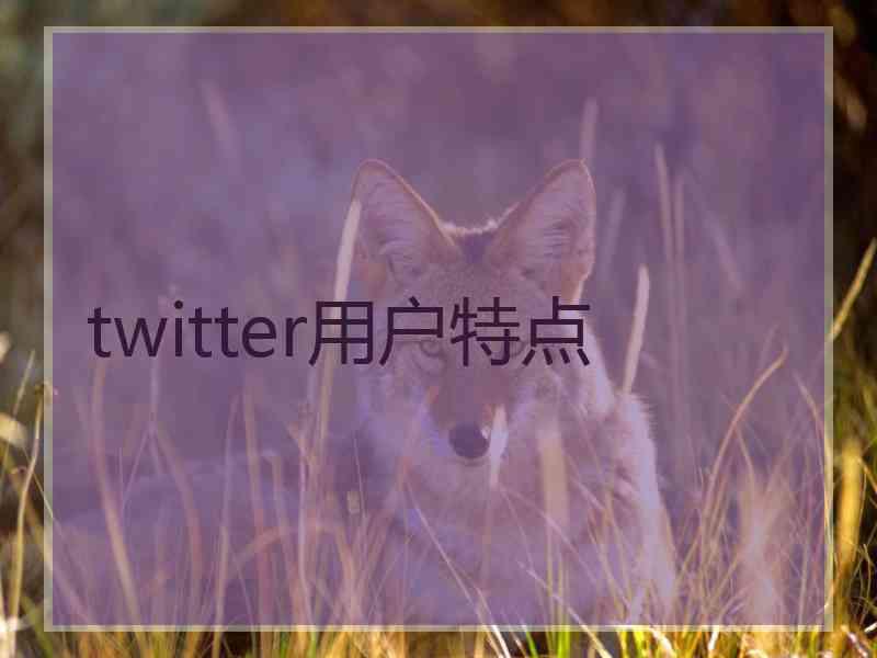 twitter用户特点 twitter用户特点