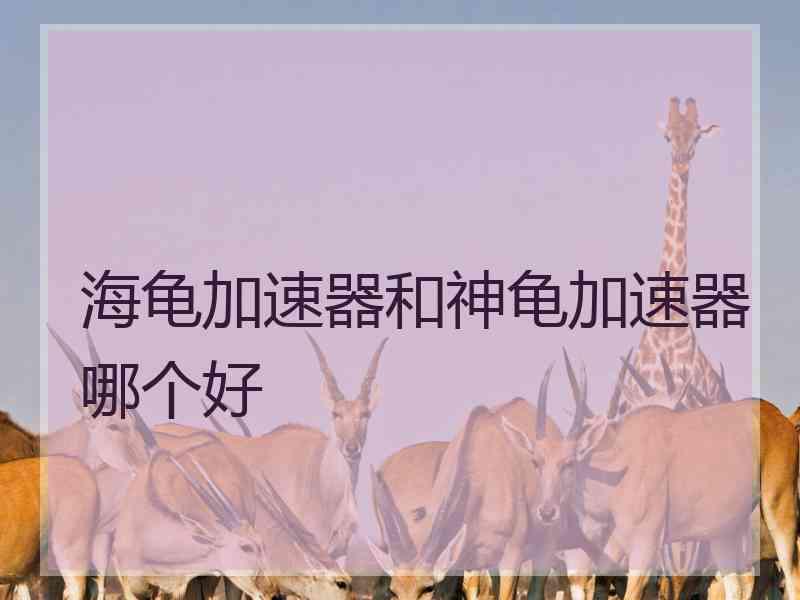 海龟加速器和神龟加速器哪个好 海龟加速器和神龟加速器哪个好