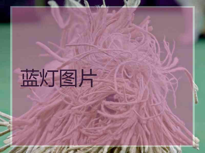 蓝灯图片 蓝灯图片