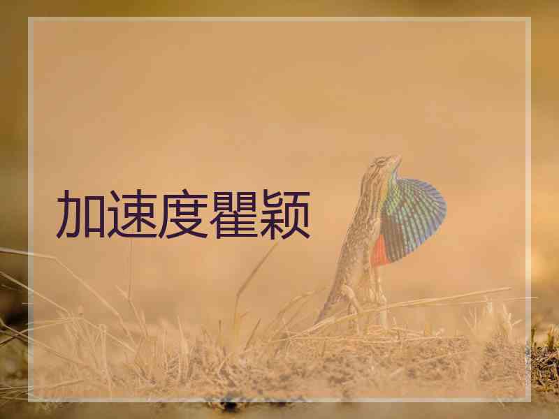 加速度瞿颖 加速度瞿颖