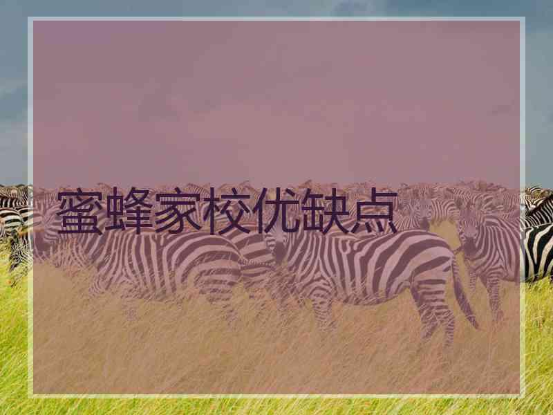 蜜蜂家校优缺点 蜜蜂家校优缺点