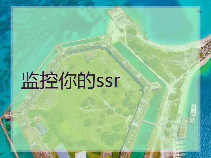 监控你的ssr 监控你的ssr