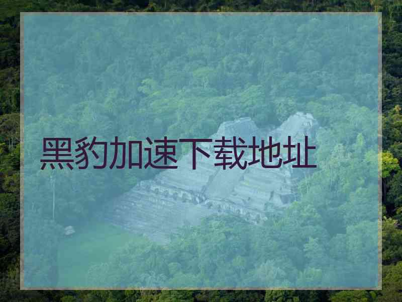 黑豹加速下载地址 黑豹加速下载地址