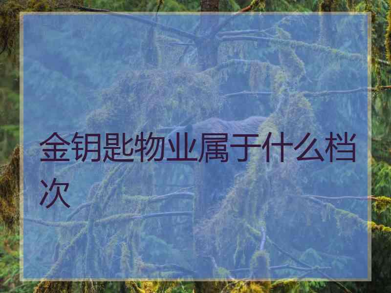 金钥匙物业属于什么档次 金钥匙物业属于什么档次