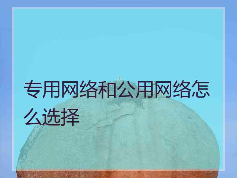 专用网络和公用网络怎么选择 专用网络和公用网络怎么选择