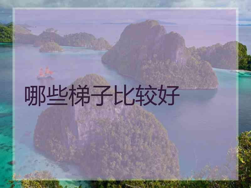 哪些梯子比较好 哪些梯子比较好