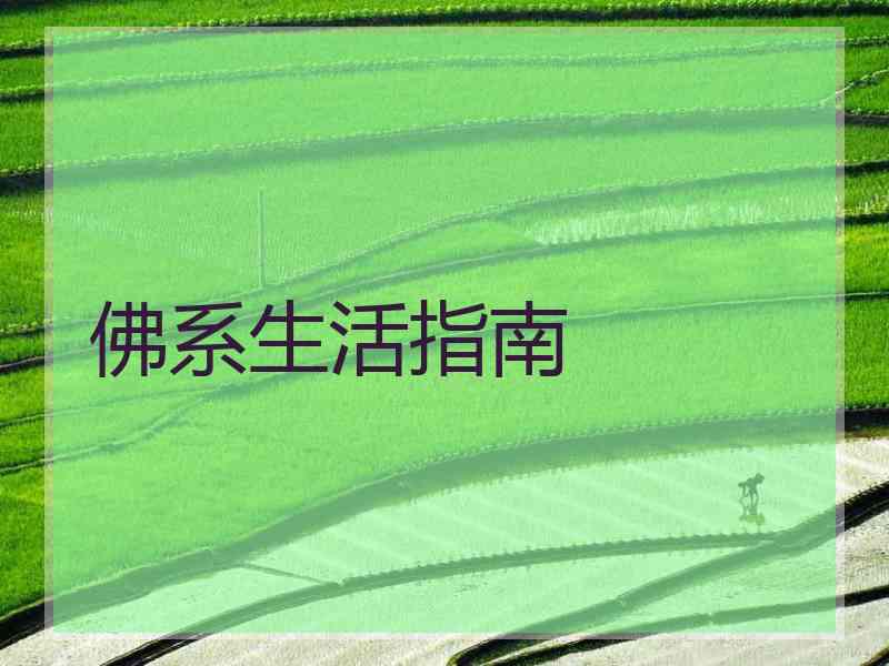 佛系生活指南 佛系生活指南