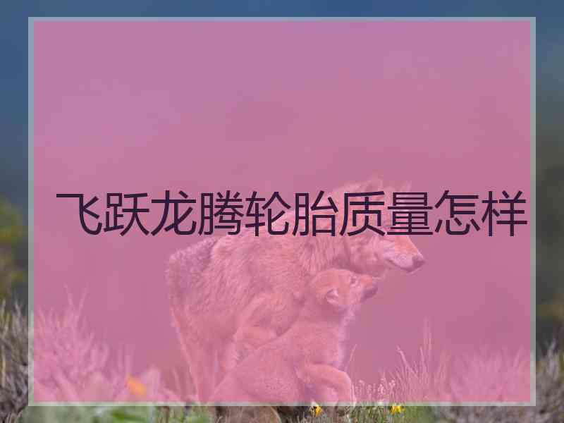 飞跃龙腾轮胎质量怎样 飞跃龙腾轮胎质量怎样