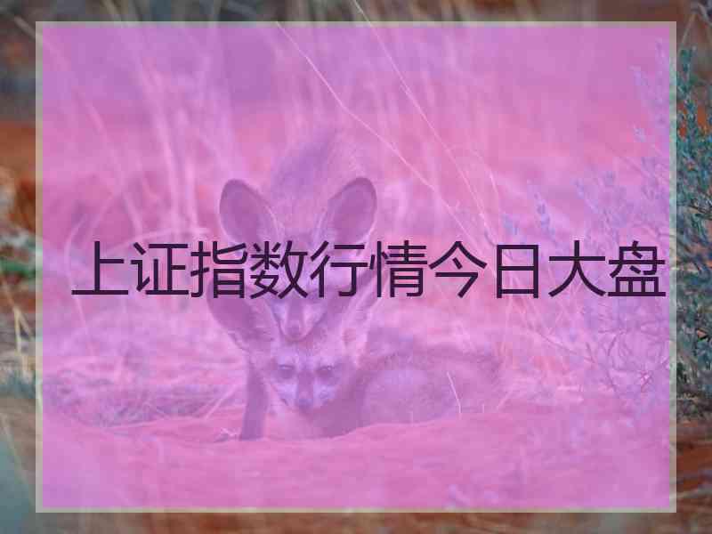 上证指数行情今日大盘 上证指数行情今日大盘