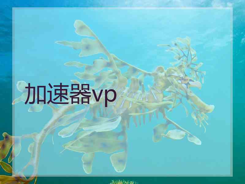 加速器vp 加速器vp