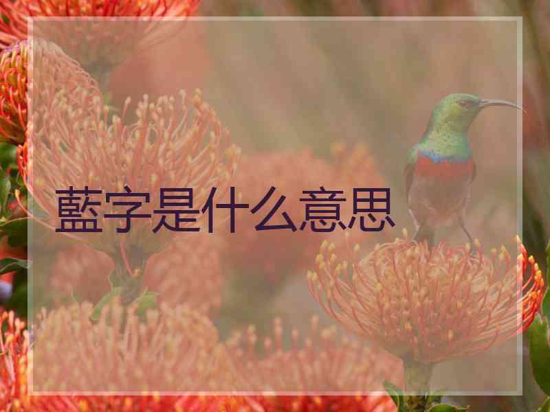 藍字是什么意思 藍字是什么意思