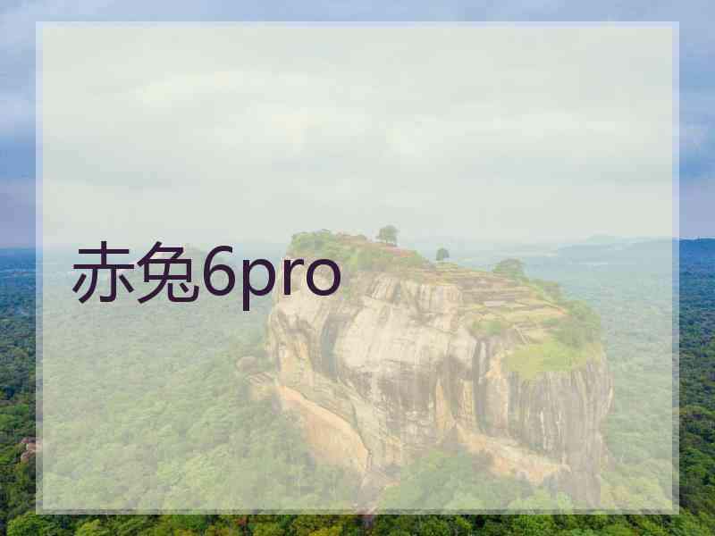 赤兔6pro 赤兔6pro