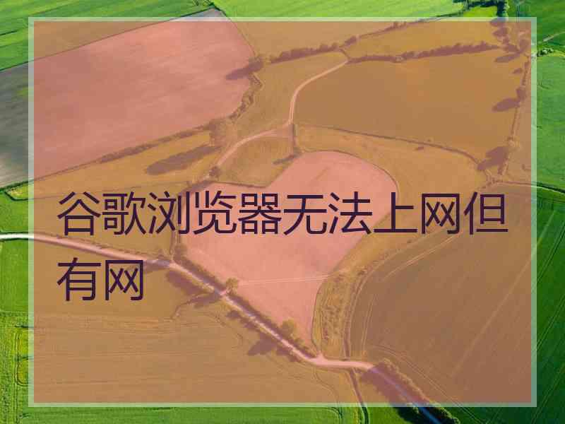 谷歌浏览器无法上网但有网 谷歌浏览器无法上网但有网