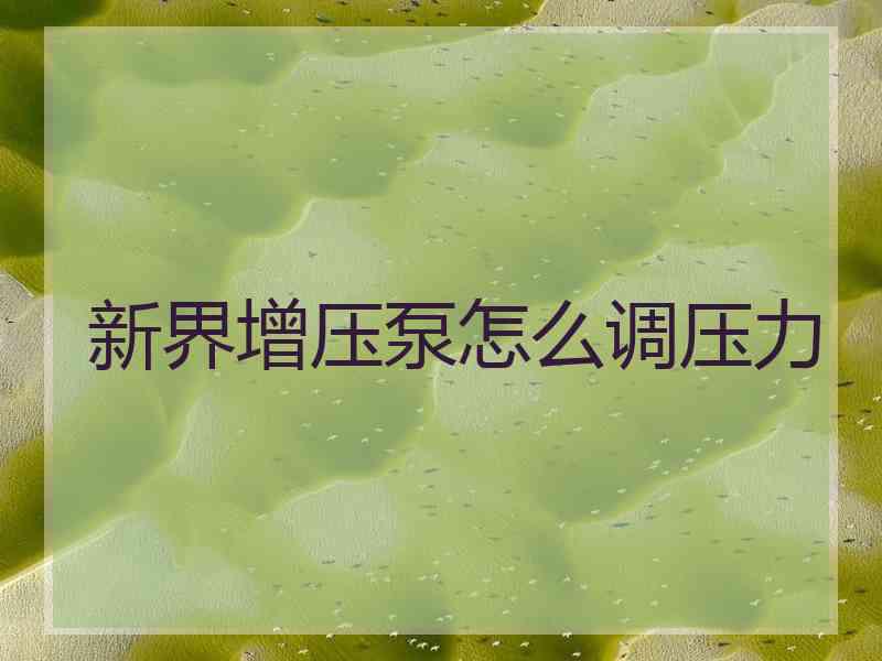 新界增压泵怎么调压力 新界增压泵怎么调压力