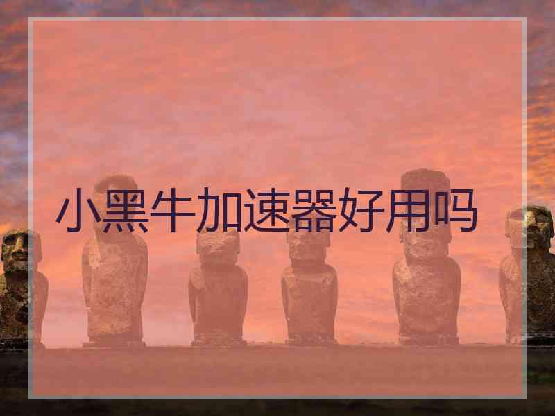 小黑牛加速器好用吗 小黑牛加速器好用吗