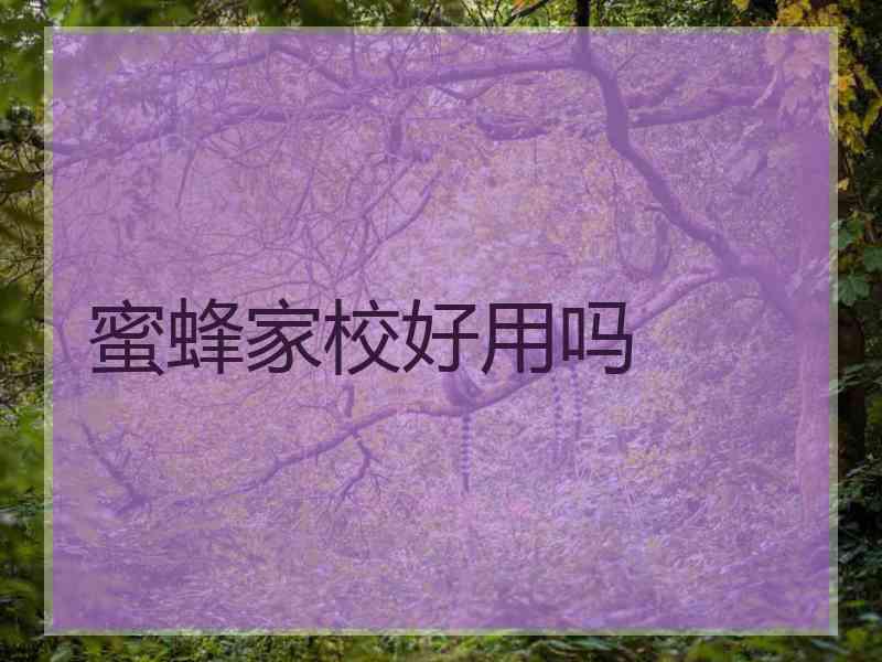 蜜蜂家校好用吗 蜜蜂家校好用吗