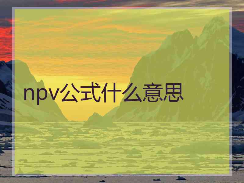 npv公式什么意思 npv公式什么意思