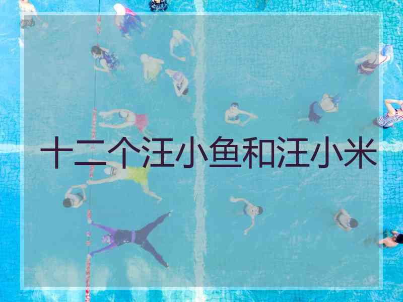 十二个汪小鱼和汪小米 十二个汪小鱼和汪小米