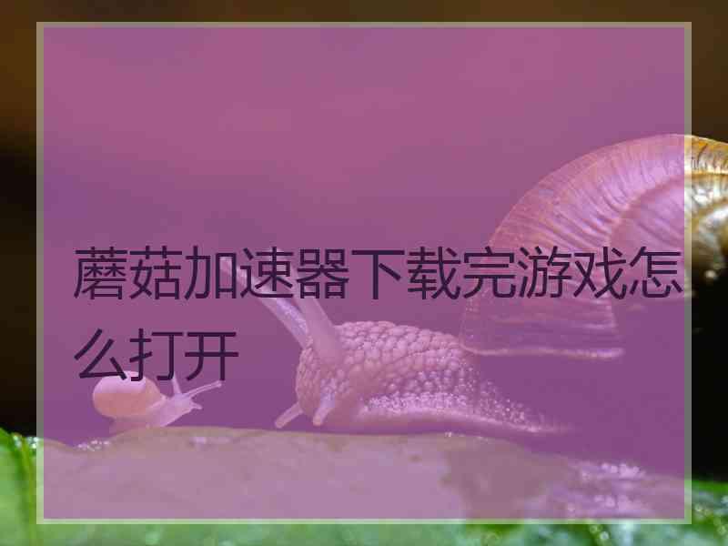 蘑菇加速器下载完游戏怎么打开 蘑菇加速器下载完游戏怎么打开