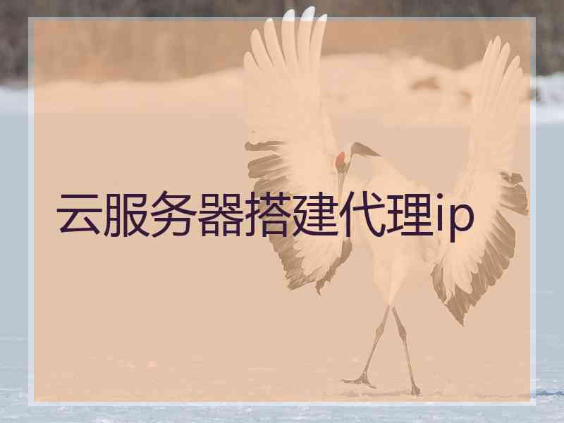 云服务器搭建代理ip 云服务器搭建代理ip