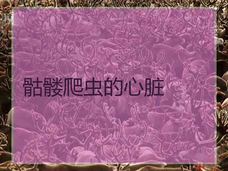 骷髅爬虫的心脏 骷髅爬虫的心脏