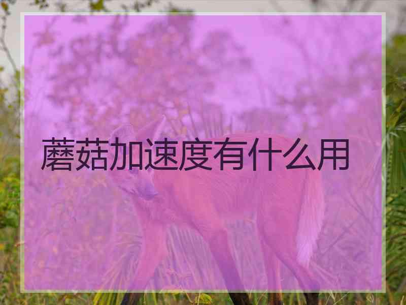 蘑菇加速度有什么用 蘑菇加速度有什么用