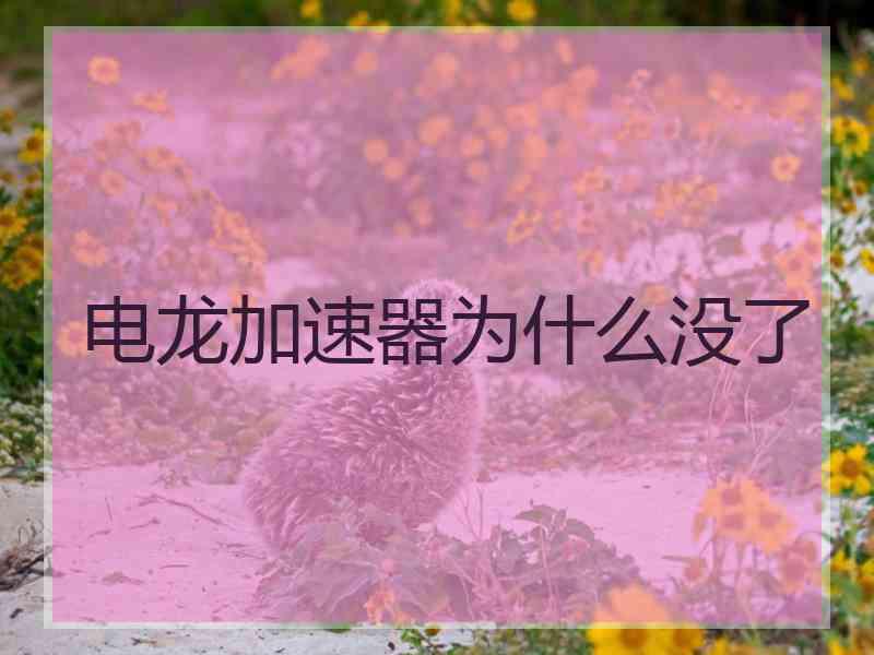 电龙加速器为什么没了 电龙加速器为什么没了